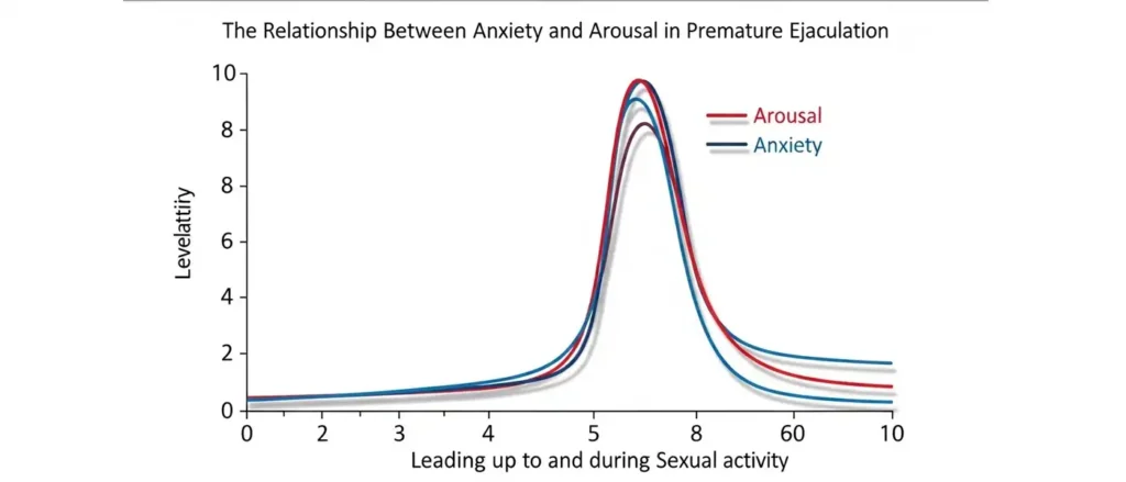 A graph showing how anxiety and arousal curves are "married" for those with premature ejaculation.