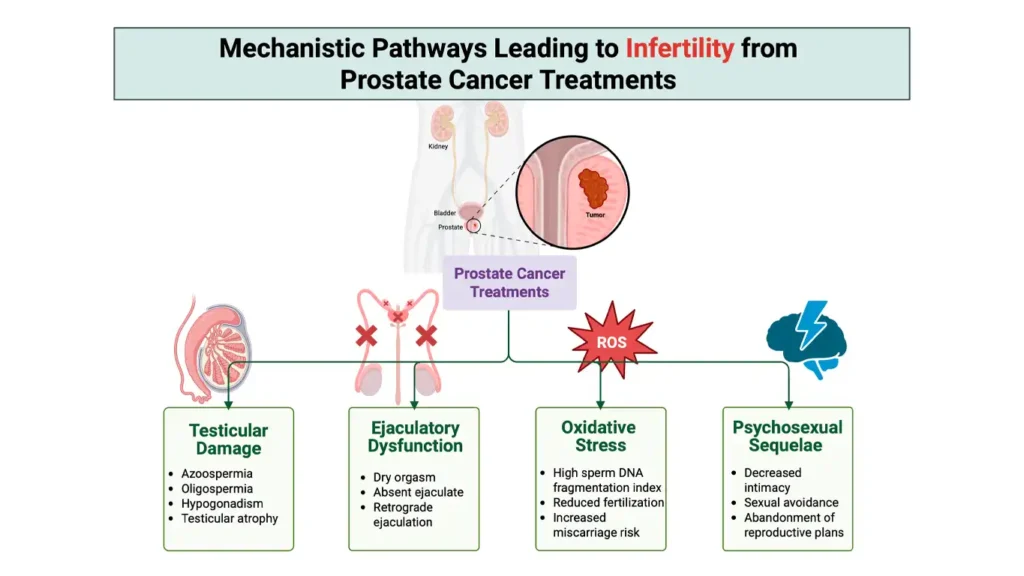 Website homepage for the WATER IV prostate cancer study for patient registration.