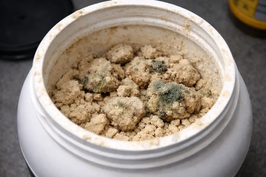 Clumpy protein powder in an open tub indicating spoilage signs. Can Protein Powder Go Bad?